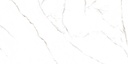 BIANCO APUANO NATURAL - 1,44 M2 - 60X120 - VITE