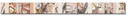 GD-5560PM-SLX - Paloma - 5.5x60 - Salmon - Satinado/RB  - Colores Solidos