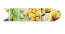 GD-520CS-LMB - Citrus - 5x20 - Limon - Brillante  - Colores Solidos