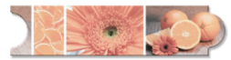 GD-520NV-NJB - Navel - 5x20 - Naranja - Brillante  - Colores Solidos