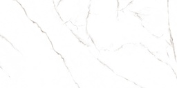 BIANCO APUANO NATURAL - 1,44 M2 - 60X120 - VITE